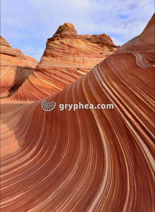Formations gréseuses (The Wave, Utah) - gryphea.org